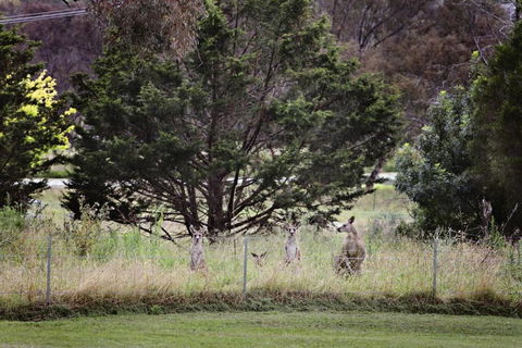 BATHURST GOLDFIELDS MOTEL On MOUNT PANORAMA - Foster Accommodation 6
