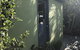 Serenity On Magnetic - thumb 4