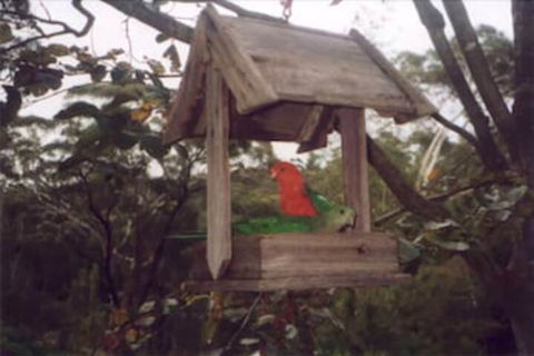 Arcadia Cottage - Foster Accommodation 2