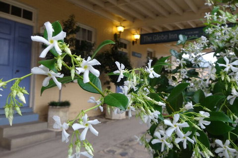 The Globe Inn - Foster Accommodation 2