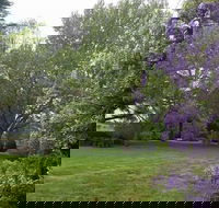 Petersons Armidale Winery  Guesthouse - Foster Accommodation