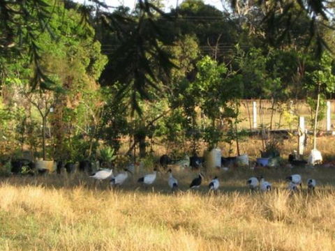 Armadale Farmstay Bed & Breakfast - Foster Accommodation 5