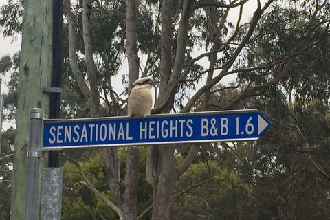 Sensational Heights Bed & Breakfast - Foster Accommodation 2