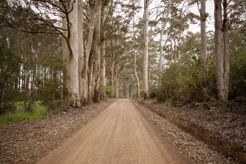Sensational Heights Bed & Breakfast - Foster Accommodation 1