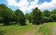 Tea Tree Cottage - thumb 5