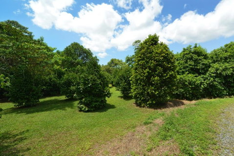 Tea Tree Cottage - Foster Accommodation 5
