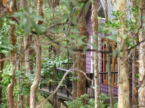 Amytis Gardens Retreat & Day Spa - Foster Accommodation 1