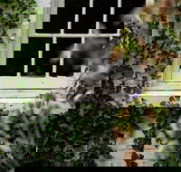 Fitzpatrick's Inn - Foster Accommodation