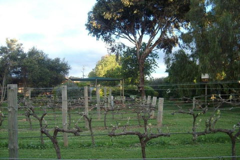 Southern Vales Bed & Breakfast - Foster Accommodation 7
