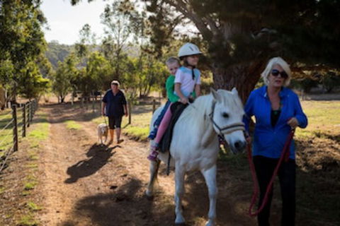 Misty Valley Country Cottages - Foster Accommodation 0