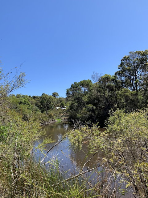 Denmark Forest Retreat - Foster Accommodation 3