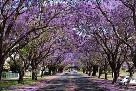 Civic Motel - Foster Accommodation 3