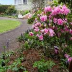  Foster Accommodation