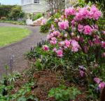 Anabels of Scottsdale - Foster Accommodation