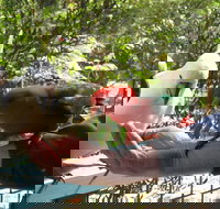 Lorne Bush House Cottages  Eco Retreats - Foster Accommodation