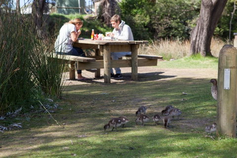 Lorne Foreshore Caravan Park - Foster Accommodation 4