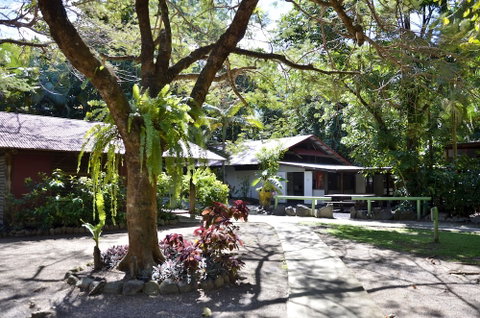PKs Jungle Village - Hostel - Foster Accommodation 5