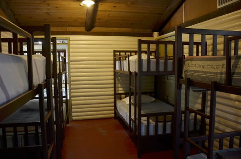 PKs Jungle Village - Hostel - Foster Accommodation 6