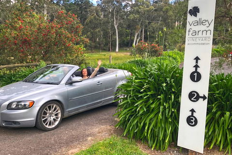 Valley Farm Vineyard Cottages - Foster Accommodation 0