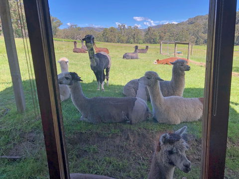 Valley Farm Vineyard Cottages - Foster Accommodation 2