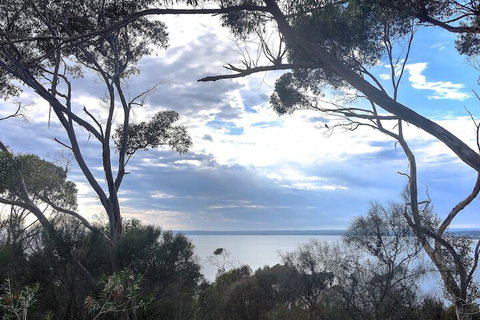 Wanderers Rest Of Kangaroo Island - Foster Accommodation 7