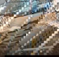 Platinum Suites Fremantle