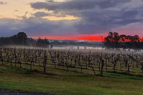 Adina Vineyard - Foster Accommodation 4