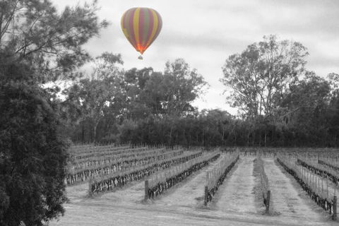 Adina Vineyard - Foster Accommodation 5