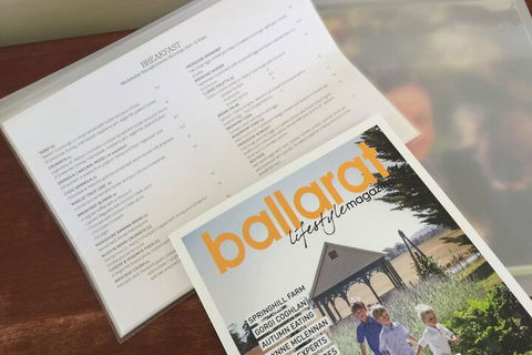 Ballarat Colonial Motor Inn & Apartments - Foster Accommodation 2