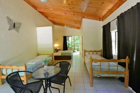 Lync Haven Rain Forest Retreat - Foster Accommodation 3