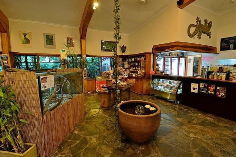 Lync Haven Rain Forest Retreat - Foster Accommodation 0