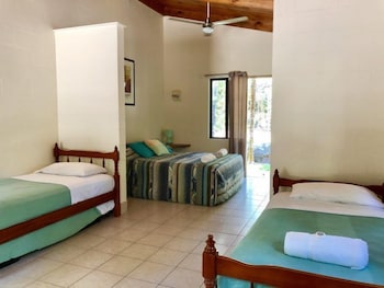 Lync Haven Rain Forest Retreat - Foster Accommodation 6