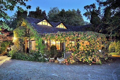 Arnica Views - Foster Accommodation 3