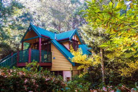 Arnica Views - Foster Accommodation 0