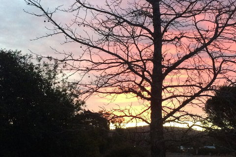 Idlewilde Town & Country Motor Inn - Foster Accommodation 1