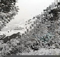 Alpenhorn - Foster Accommodation