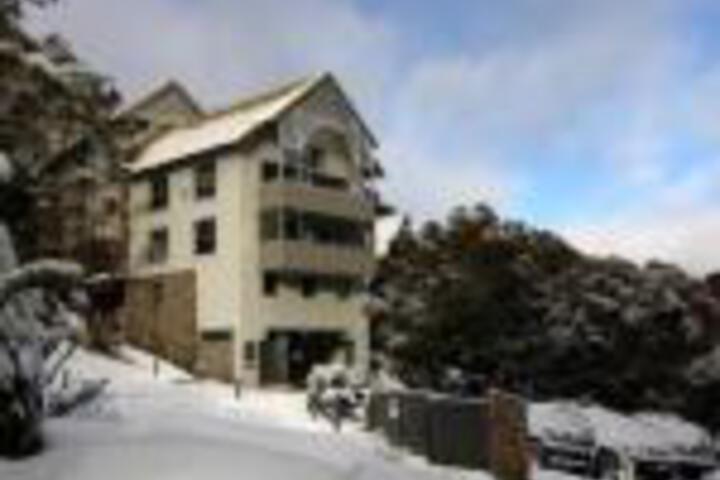 Foster Accommodation