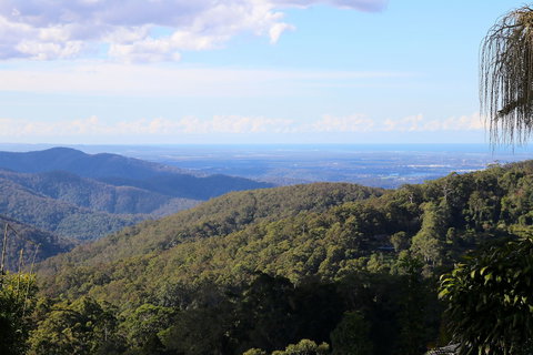Mt Tamborine Motel - Foster Accommodation 6