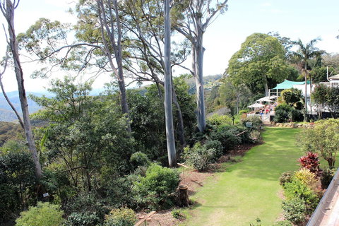 Mt Tamborine Motel - Foster Accommodation 5