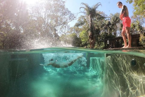 Samurai Beach Bungalows Port Stephens YHA - Foster Accommodation 3