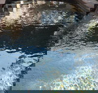 Town  Country Motel - Foster Accommodation