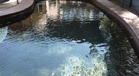 Town & Country Motel - Foster Accommodation 0