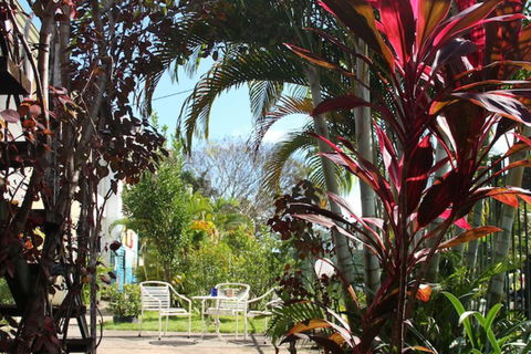 Asylum Cairns Hostel - Foster Accommodation 3