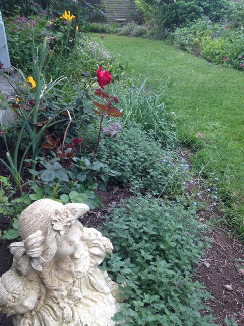 Birch House Koroit - Foster Accommodation 3