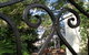 Durack House - thumb 1