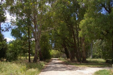 Stanley Goose Cottage - Foster Accommodation 2