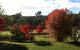 Stanley Goose Cottage - thumb 5