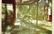 Twin Falls Bush Cottages - thumb 7