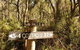 Twin Falls Bush Cottages - thumb 3