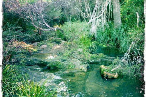 Twin Falls Bush Cottages - Foster Accommodation 2